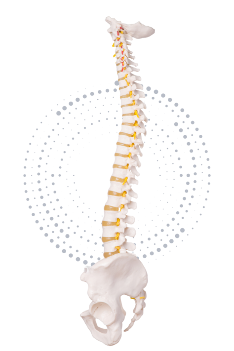 imagem-coluna-vertebral-depoimentos-ortopedista-manhuacu-mg-03